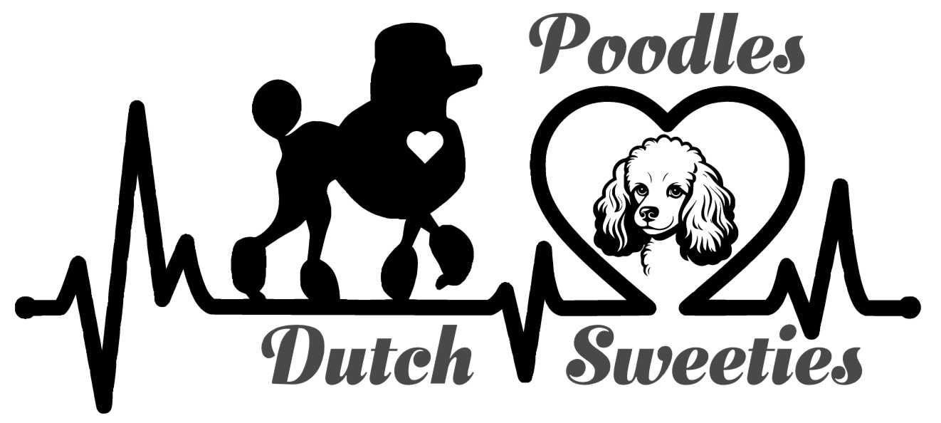 logo Dutch Sweeties Poodles