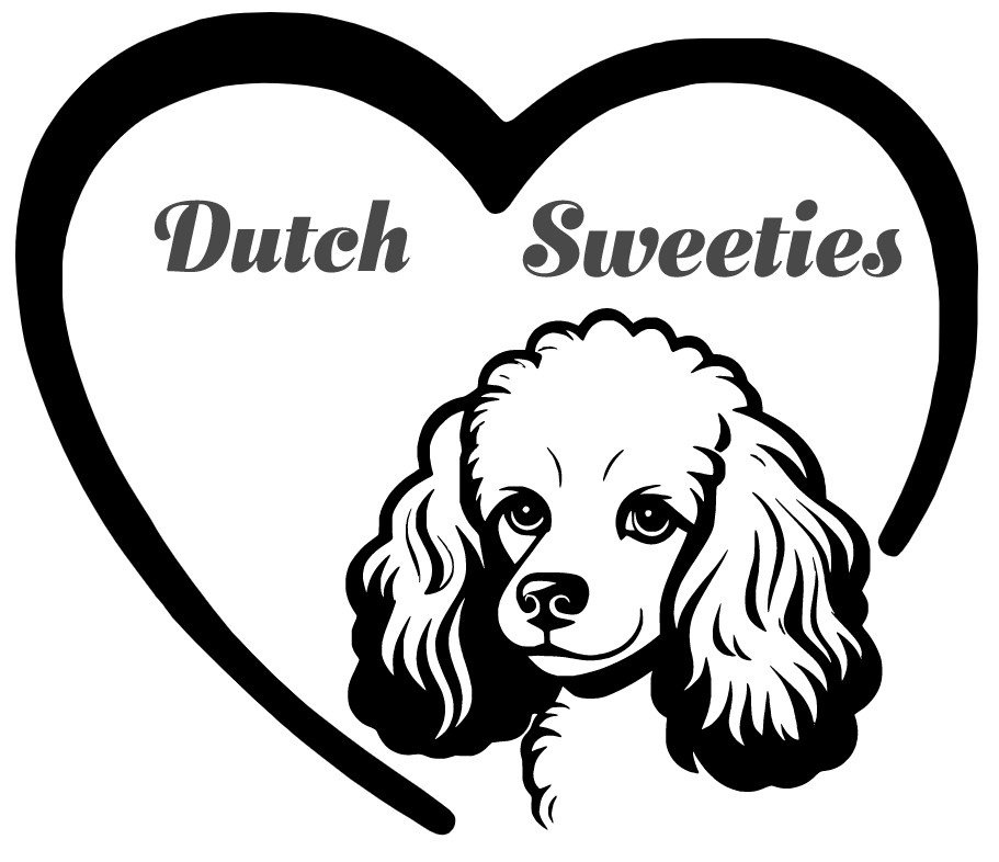 Logo Dutch Sweeties
